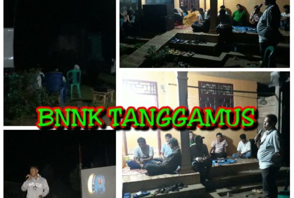 Badan Narkotika Nasional Kabupaten Tanggamus Berikan Pesan Rahasia Melalui Media Visual
