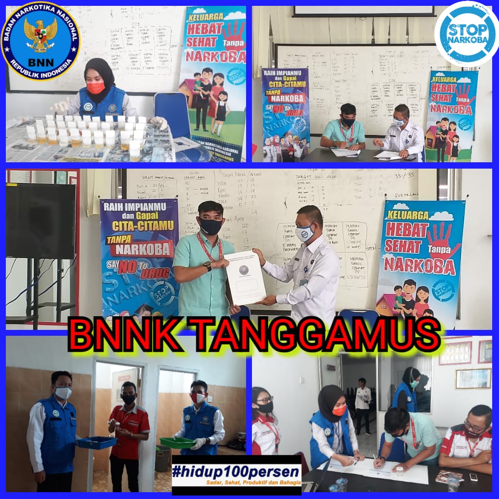 Kerjasama antara BNNK Tanggamus dan Bintang Kharisma Jaya 2 Gisting Kabupaten Tanggamus dalam pelaksanaan P4GN Kerjasama antara BNNK Tanggamus dan Bintang Kharisma Jaya 2 Gisting Kabupaten Tanggamus dalam pelaksanaan P4GN